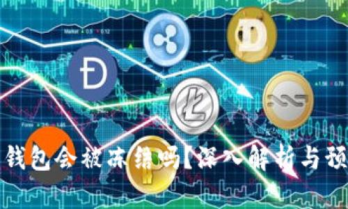 虚拟币钱包会被冻结吗？深入解析与预防措施