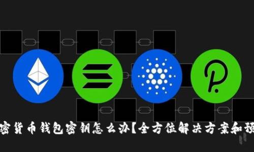 丢失加密货币钱包密钥怎么办?全方位解决方案和预防措施