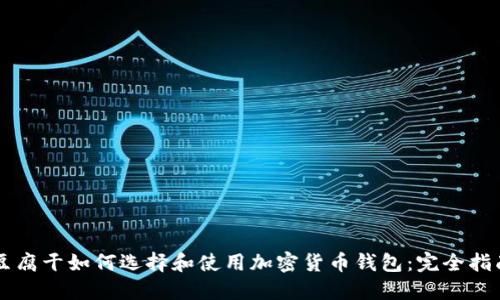 豆腐干如何选择和使用加密货币钱包：完全指南