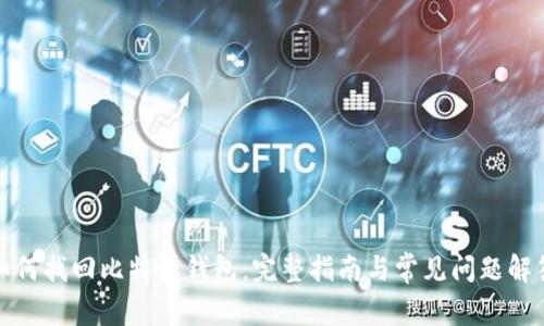 如何找回比特派钱包:完整指南与常见问题解答