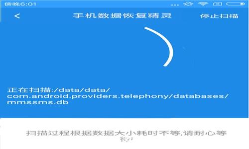 如何查询数字钱包地址:全面指南