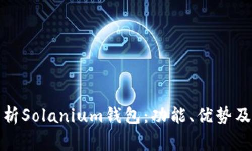 : 全面解析Solanium钱包：功能、优势及使用指南