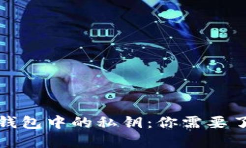 加密货币钱包中的私钥:你需要了解的一切