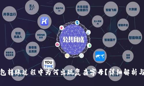 冷钱包转账过程中为何出现复杂字母?详细解析与解答