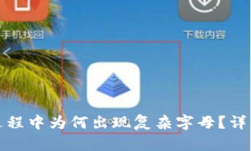 冷钱包转账过程中为何出现复杂字母?详细解析与解答