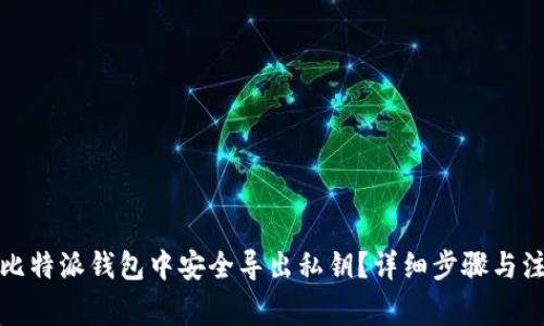 如何在比特派钱包中安全导出私钥?详细步骤与注意事项