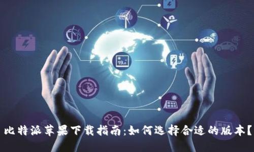 比特派苹果下载指南:如何选择合适的版本?
