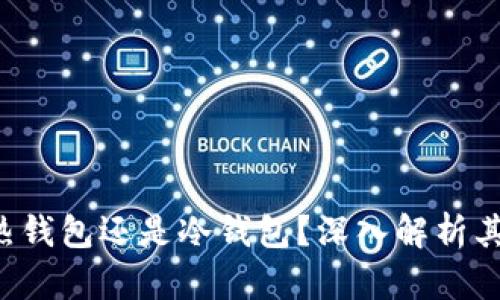 Safepal: 是热钱包还是冷钱包？深入解析其安全性与功能